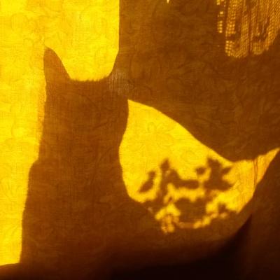 ombra Selin