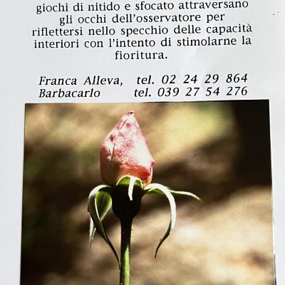 Fioritureinvito 1998